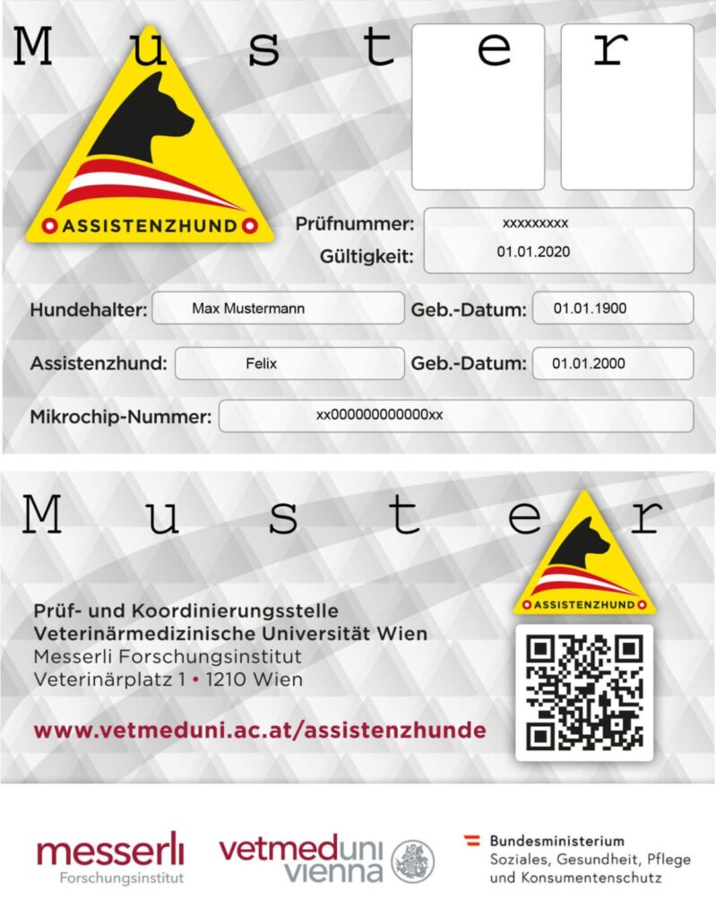 Es zeigt ein Muster vom Teamausweis vorne und hinten.